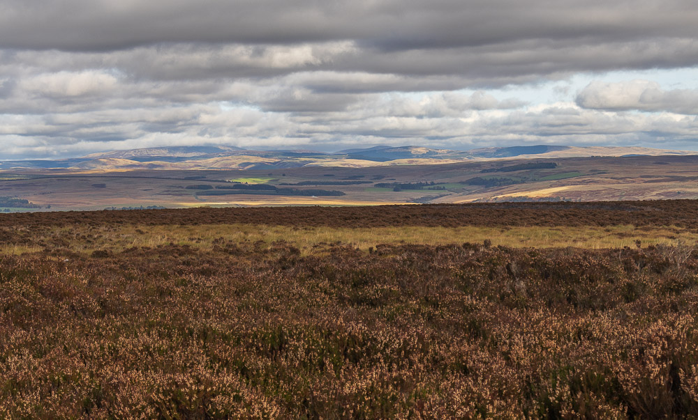 The Cheviot The Cheviot